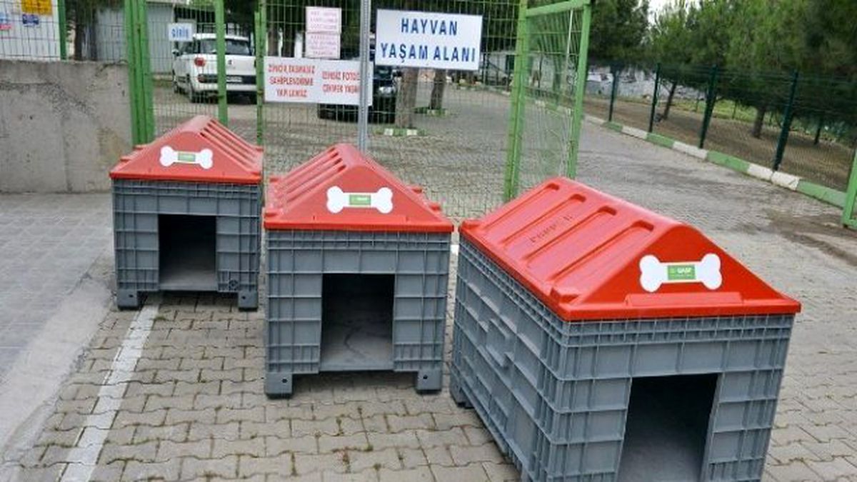 Yıldırım\'da Hayvan ve Çevre Dostu Proje