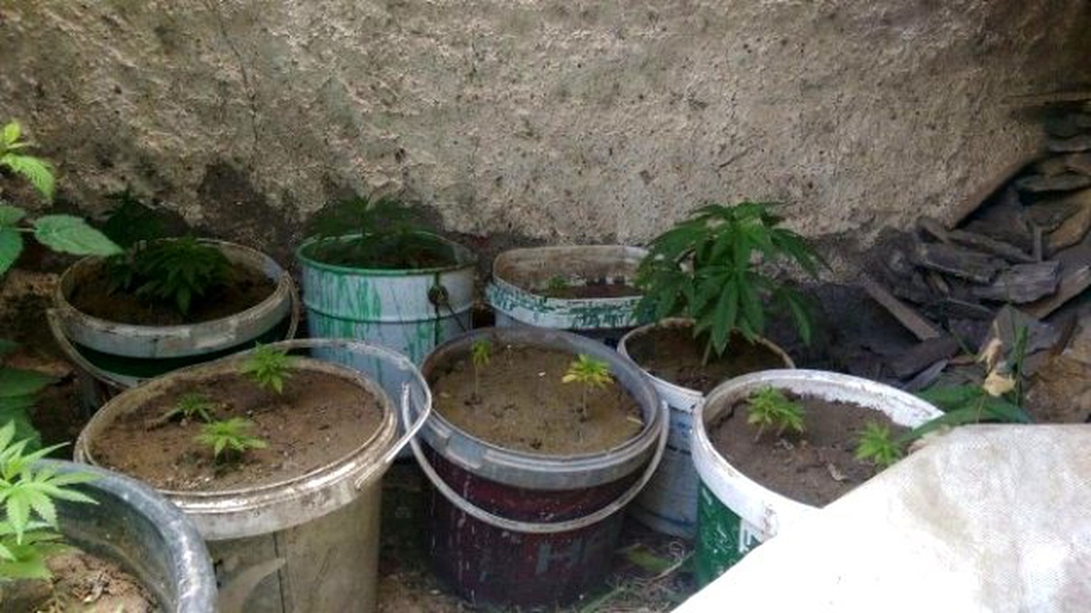 Eskişehir Polisi Uyuşturucuya Geçit Vermiyor