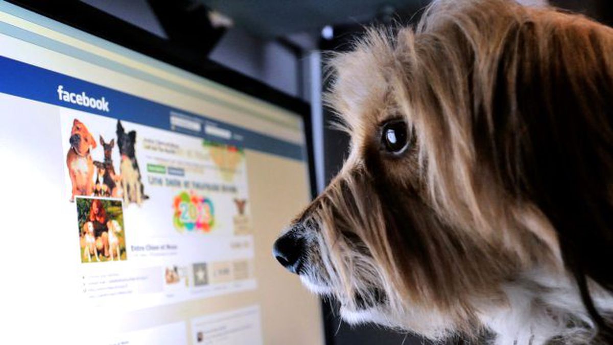 Facebook, Moments Yüklemeyenlerin Fotoğraflarını Silecek