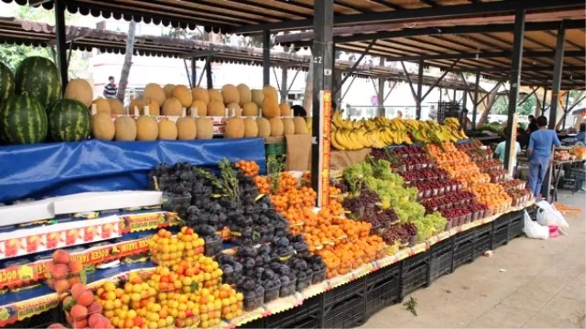 Urfa\'da Meyve Üretim Alanları Arttı