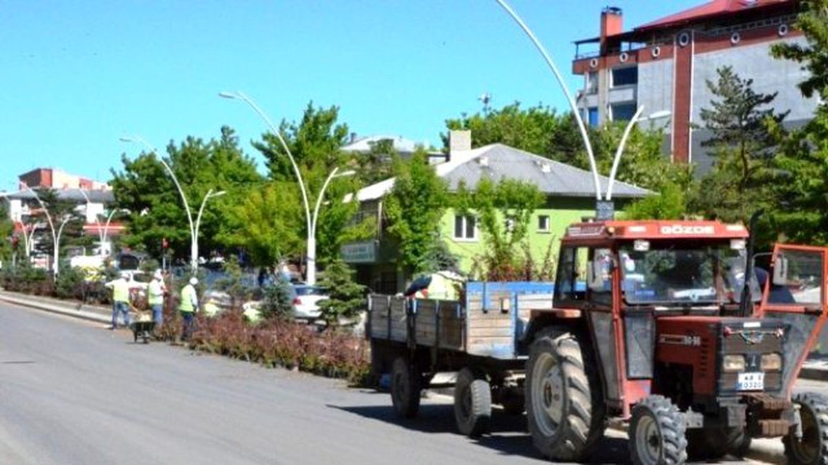Ağrı Belediyesi Peyzaj Çalışmasına Devam Ediyor