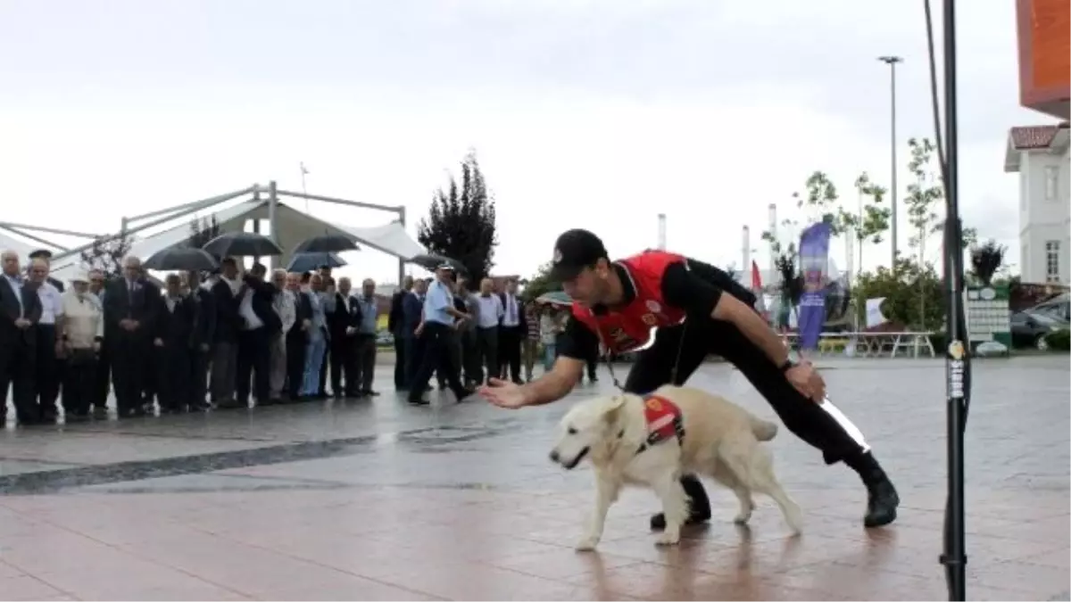 Jandarmanın Kuruluş Yıldönümü Yalova\'da Kutlandı