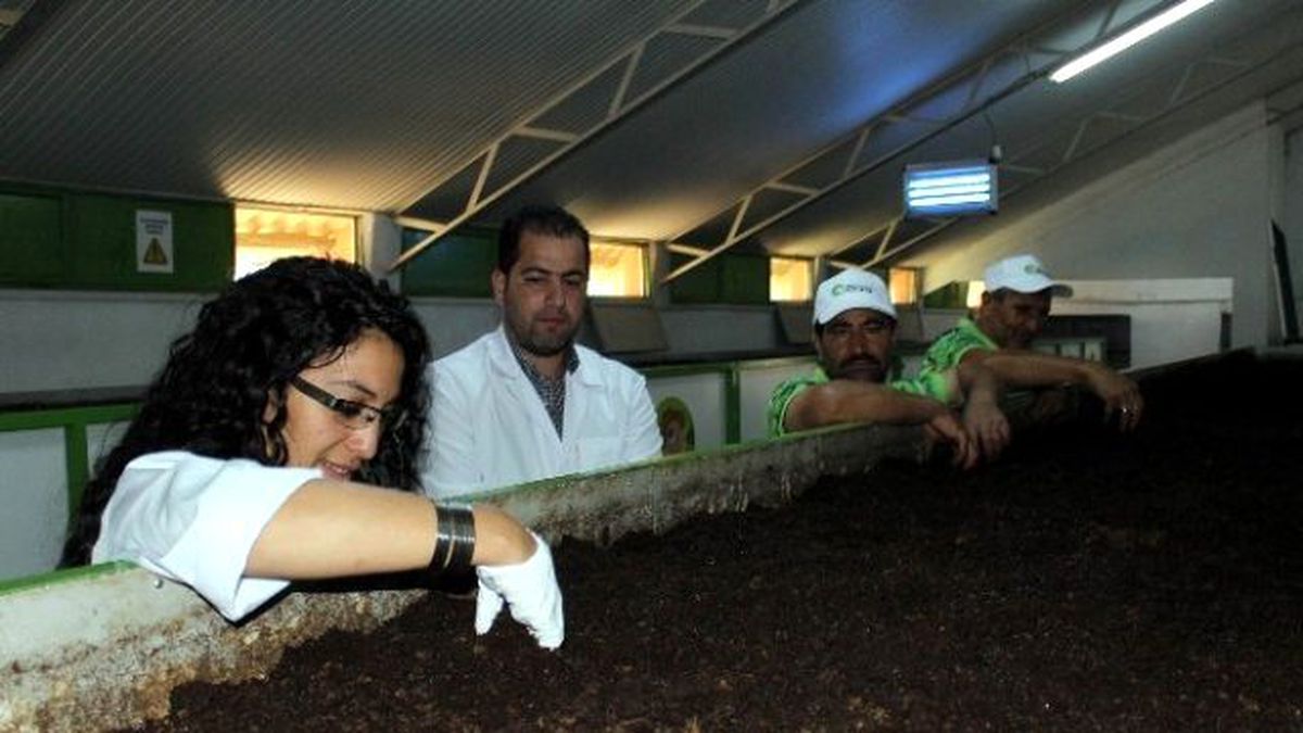 Karın Tokluğuna Çalışan Solucanların Gübresine Talep Yağıyor