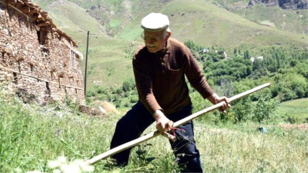 90 Yaşındaki Trabzonlu Robinson Sebahattin, 22 Yıldır Her Yaz Van\'a Geliyor