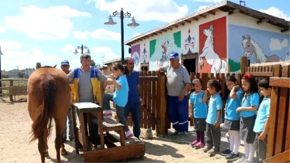 Çorlu Hayvanat Bahçesi İlgi Görüyor