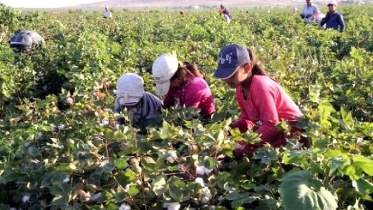 Devrim: Çocuklar Tarla Yerine Okula Gitmeli
