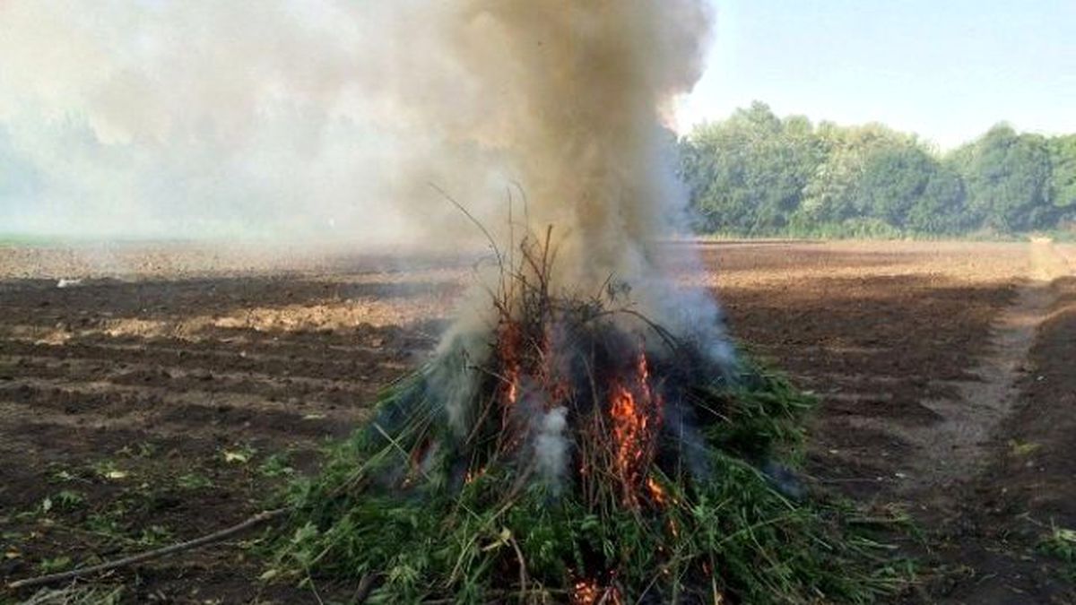 Dünya Miras Listesine Giren Hevsel Bahçeleri\'nde Uyuşturucu Ele Geçirildi
