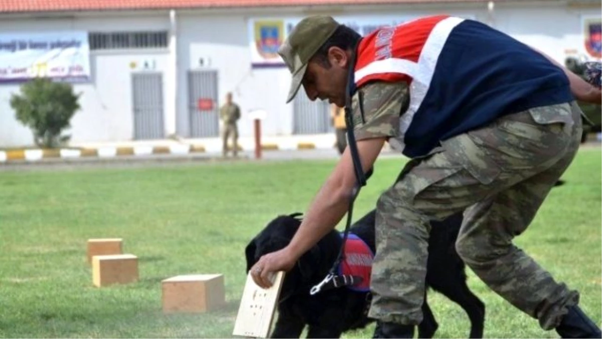Erzincan\'da Jandarma Teşkilatının 177\'nci Yaşı Kutlandı