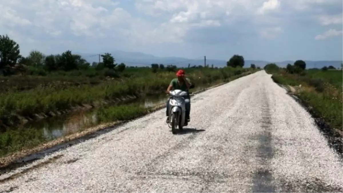 Harmandalı Yolu Asfaltlanıyor