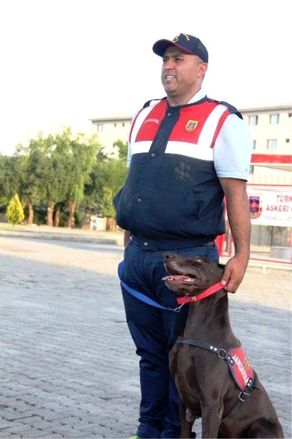 Jandarmanın Eğitimli Köpekleri Ayakta Alkışlandı