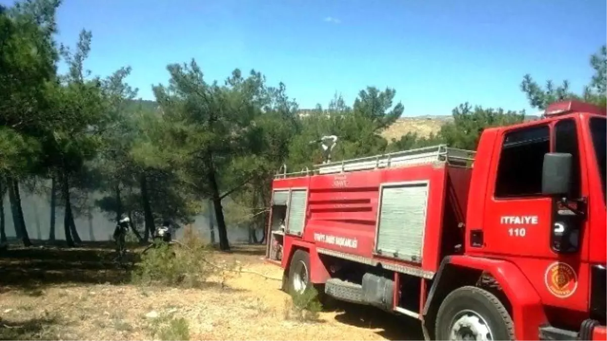 Yücebağ Beldesinde Yangın