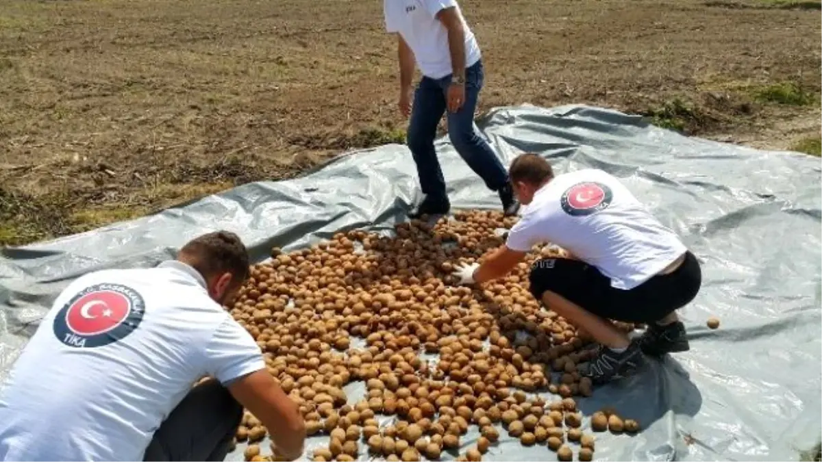 Doğu Bosna\'da Göçü Engelleyecek İstihdam Projesi