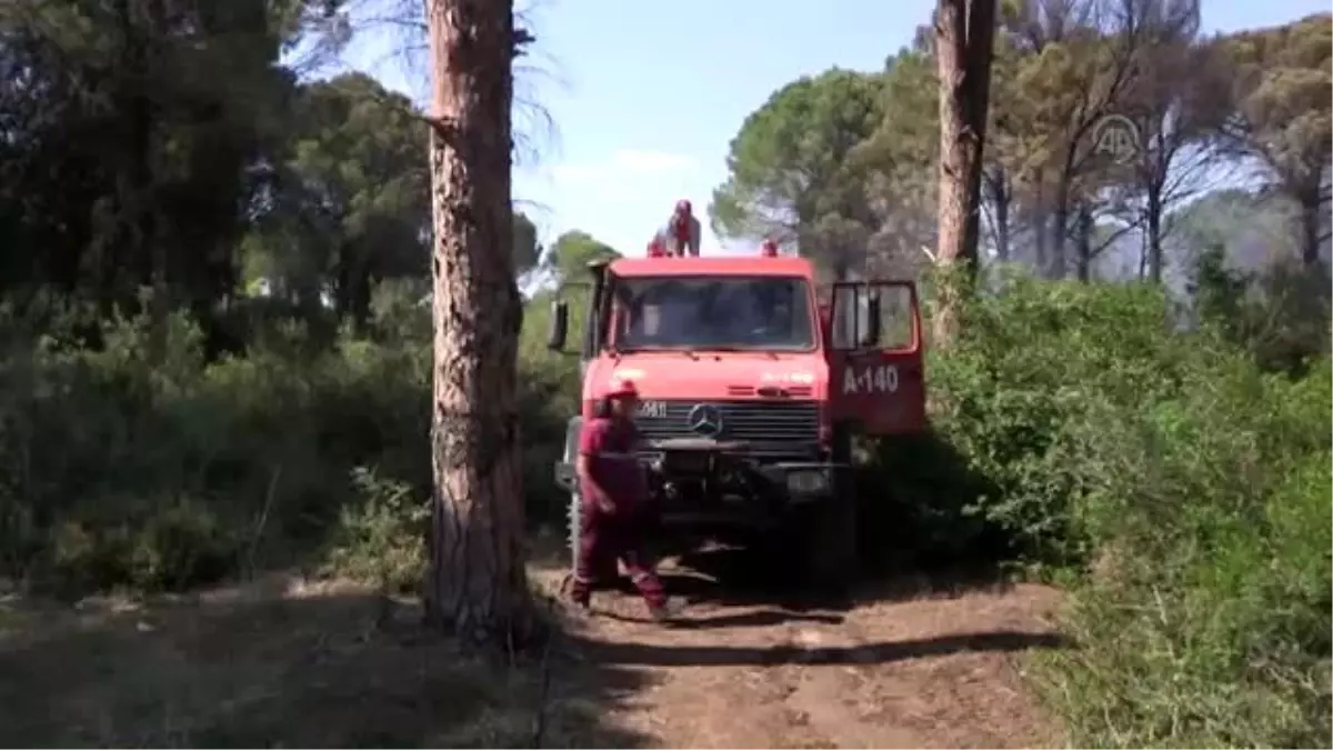 Orman Yangını Büyümeden Söndürüldü