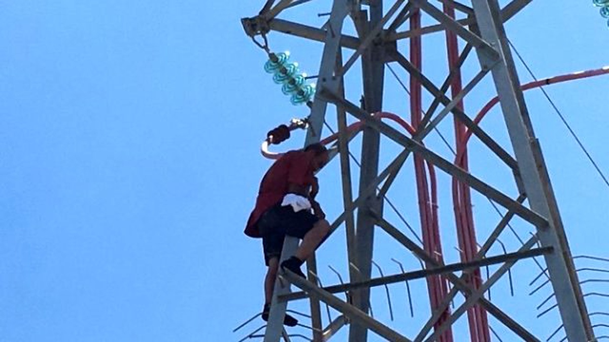 Otobüs Şoförüne Kızdı Elektrik Direğine Çıktı