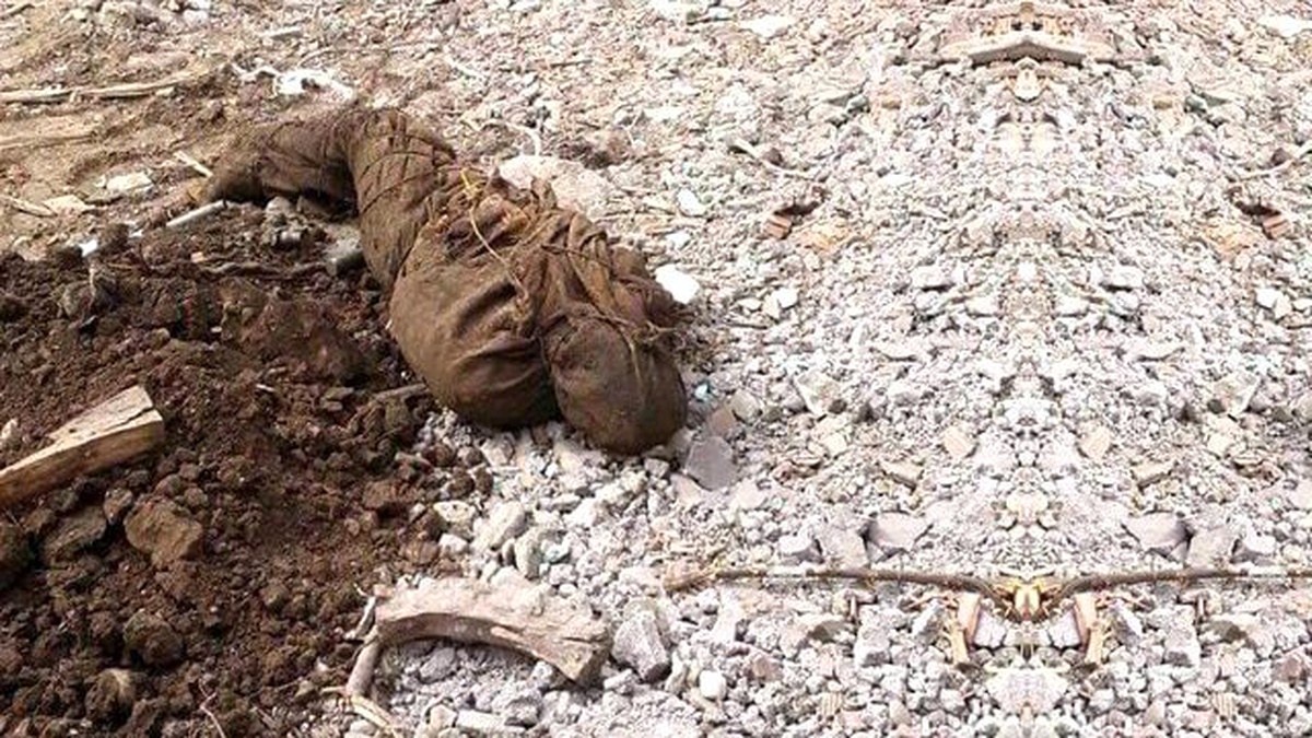 Vali "PKK Kürt Çocuklarını İnfaz Ediyor" Dedi, Aileleri Uyardı: Çocuklarınızın Peşine Düşün