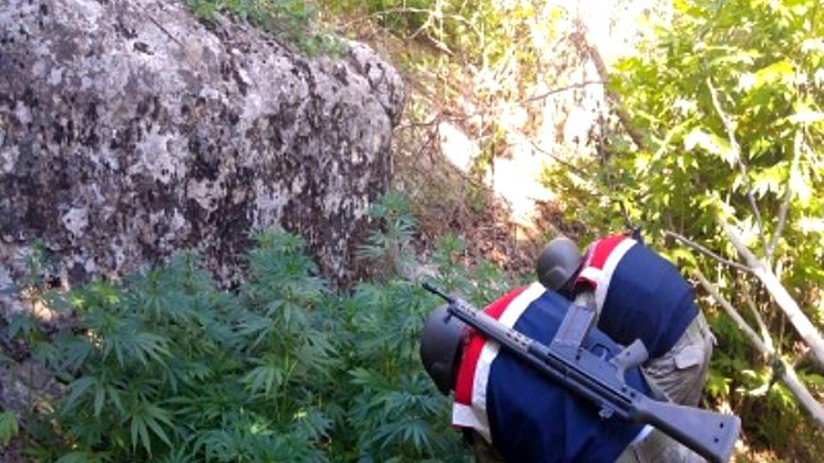 Diyarbakır\'da Uyuşturucu Tacirlerine Darbe