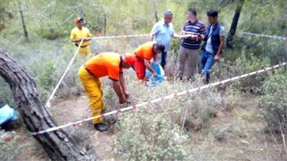 Mersin\'de Odüh Envanter Planlama Çalışmaları Devam Ediyor