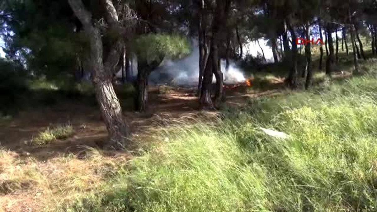 Soma Ormanlık Alandaki Yangın Büyümeden Söndürüldü