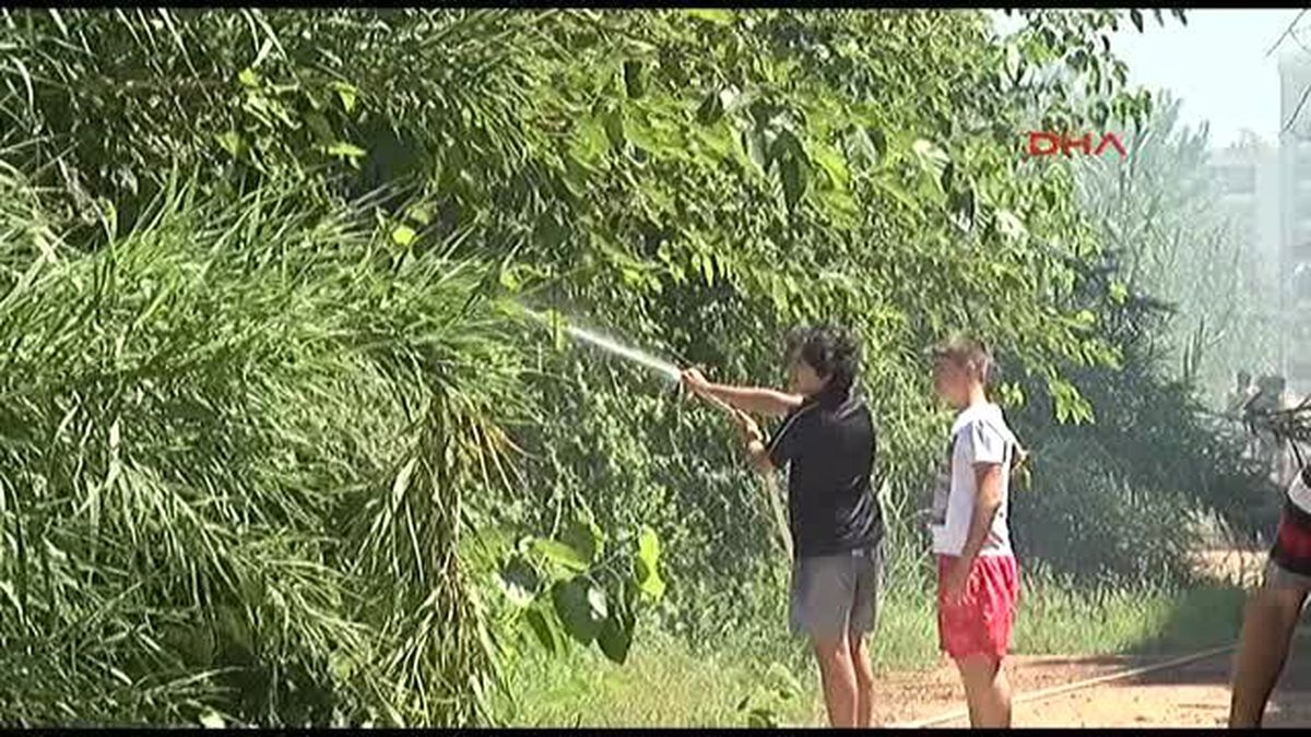 Antalya\'da Sahile Yakın Ormanlıkta Yangın