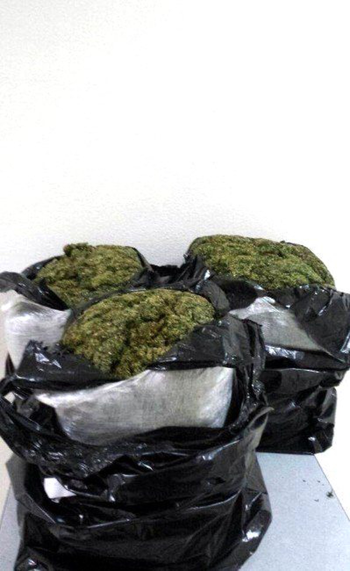 Kayseri\'de 31 Kilo Esrar Ele Geçirildi