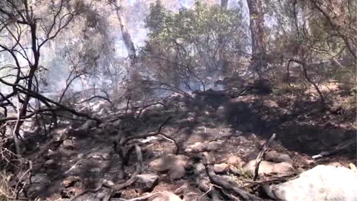 Kemer\'de Orman Yangını (2)