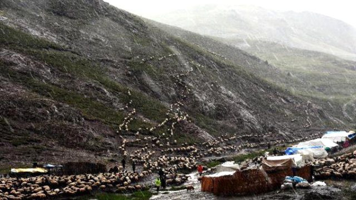 Şiddetli Dolu Yağışı Yaylacılara Zor Anlar Yaşattı