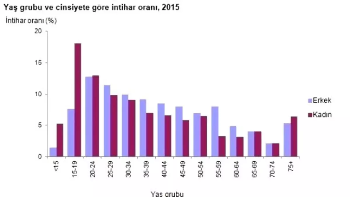 Tüik İntihar İstatistikleri, 2015 Verilerini Açıkladı