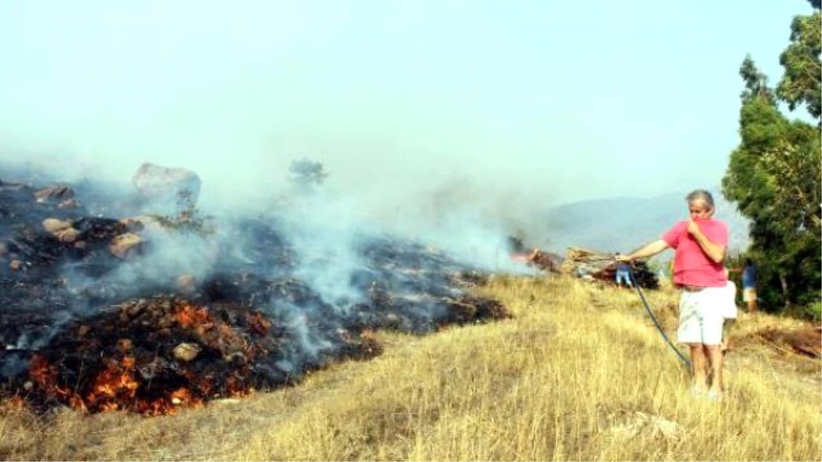 Bodrum\'da Makilik Alanda Yangın Çıktı (3)