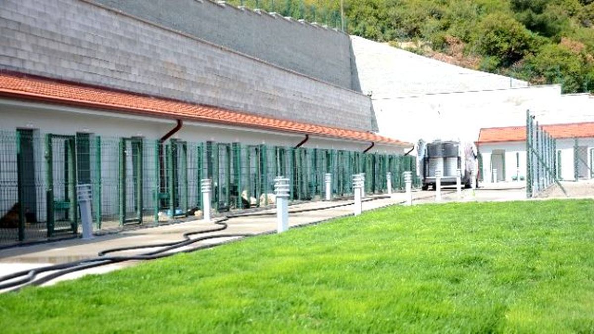 Bilecik Belediyesi Can Dostlara Yaptığı Yeni Yuvada Hizmet Vermeye Devam Ediyor
