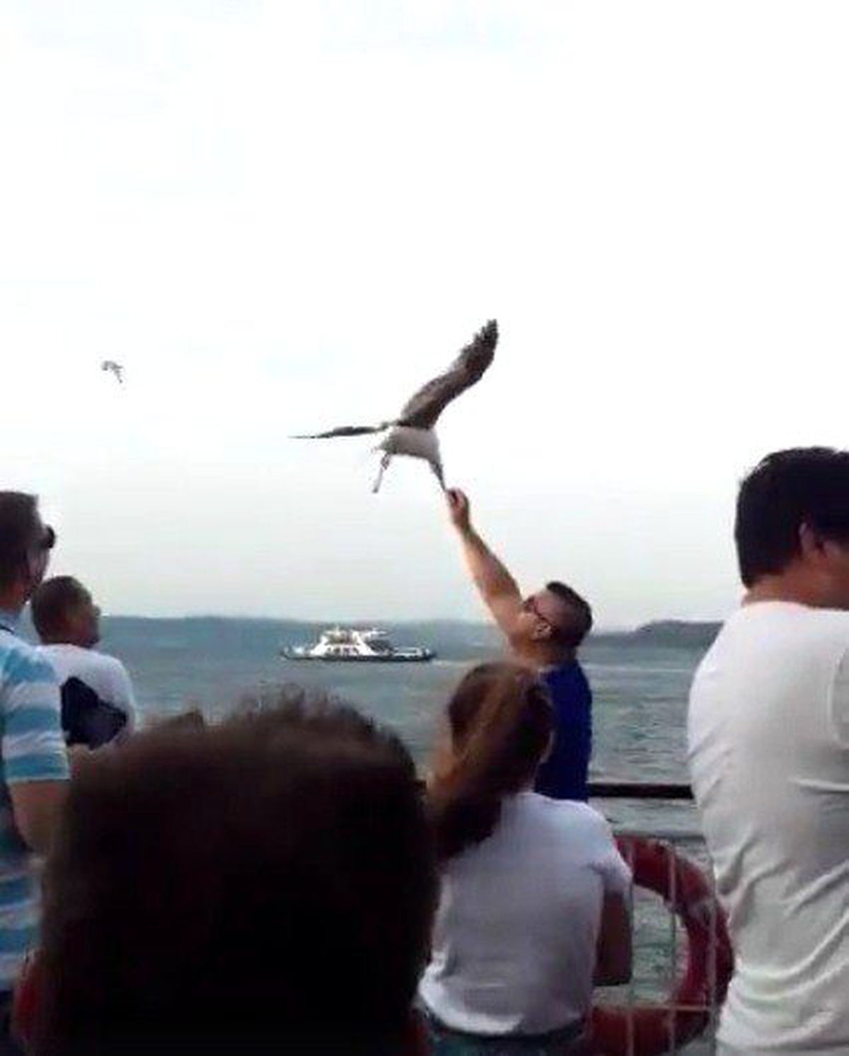 Boğazın Ortasında Martıları Elleriyle Beslediler