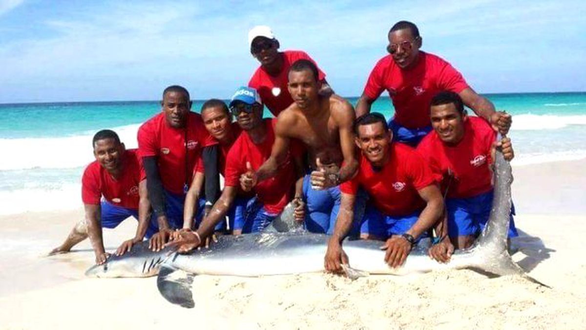 Fotoğraf Çektirmek İçin Denizden Çıkarılan Köpek Balığı Öldü