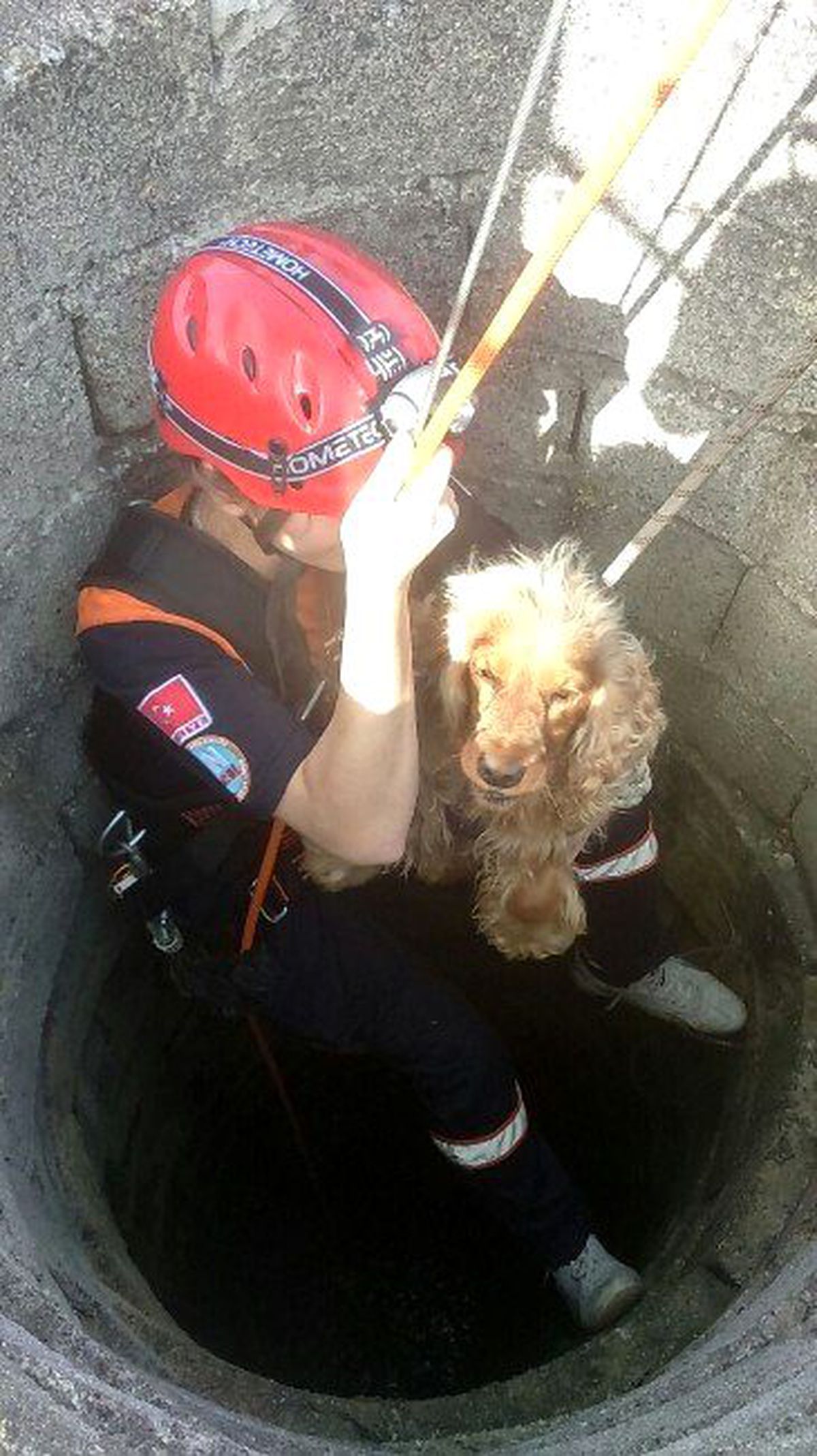 Kuyuya Düşen Köpeğe Kurtarma Operasyonu