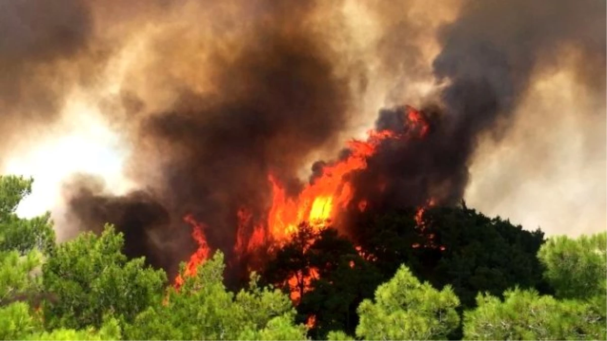 Manavgat\'ta Orman Yangını: 1 Yaralı