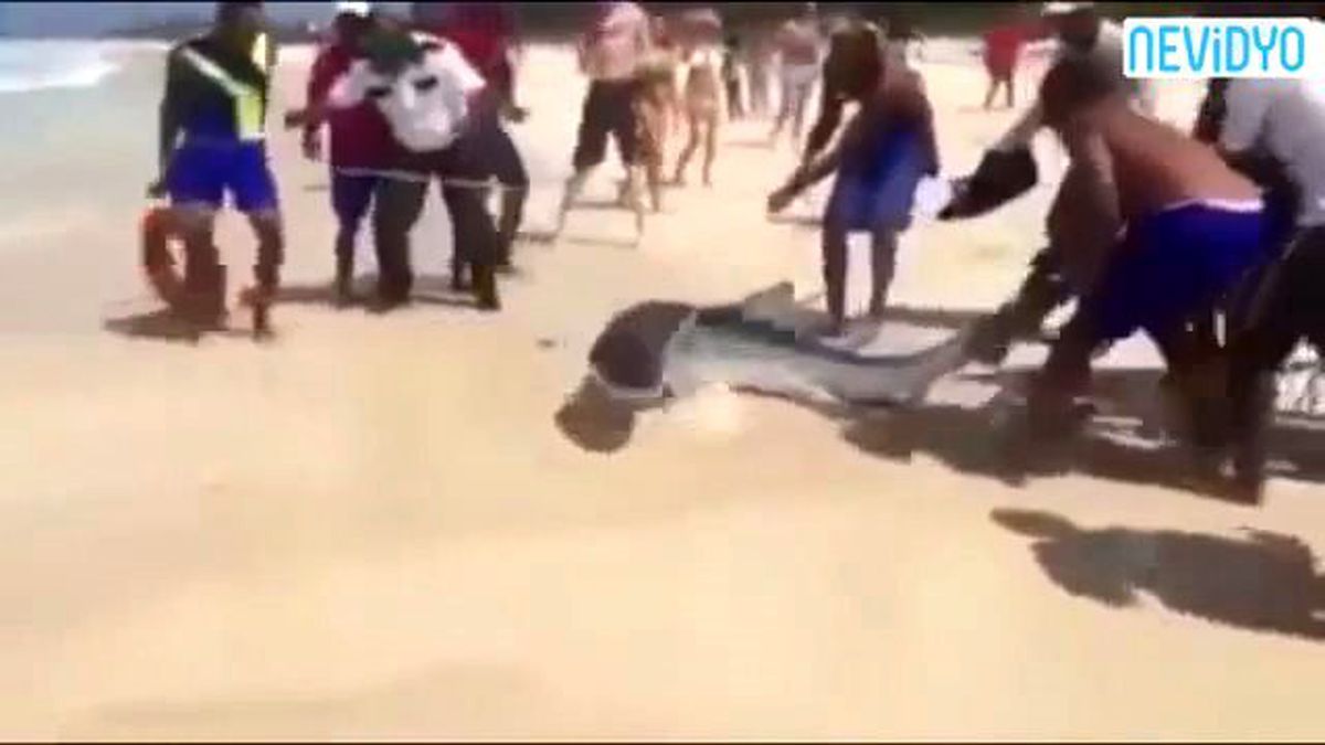 Selfie Çekmek İçin Öldürdüler! (+18)