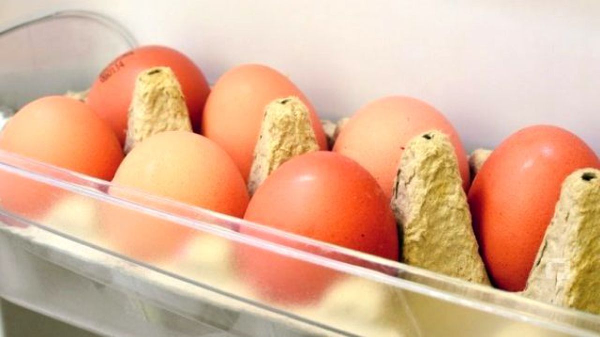 Yumurta Nasıl Saklanır?