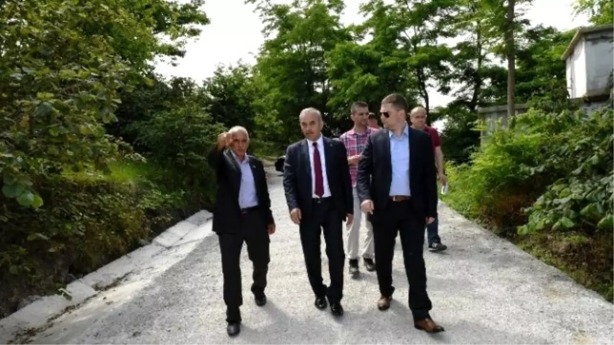 Altınordu\'da Beton Yol Devam Edecek