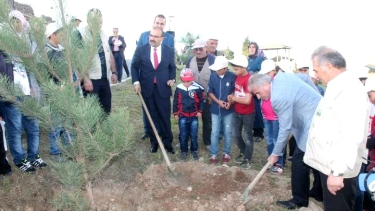 Bayburt\'ta Yetimler İçin Hatıra Ormanı