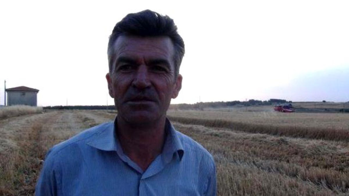 Biçerdöver Biçti, Leylek Karnını Doyurdu