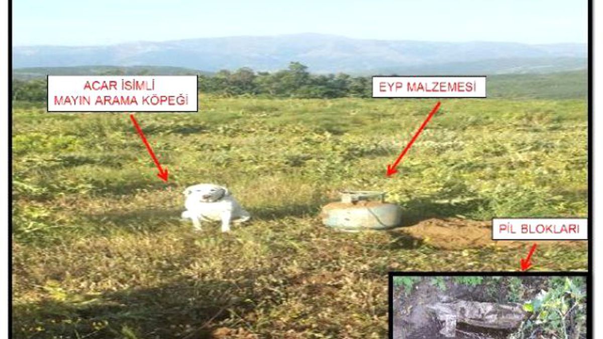Bitlis\'te Operasyonlarda Ele Geçirilen Patlayıcılar İmha Edildi