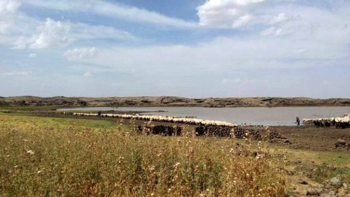 Büyükşehir, Gölet Yapım ve Onarım Çalışmalarını Sürdürüyor