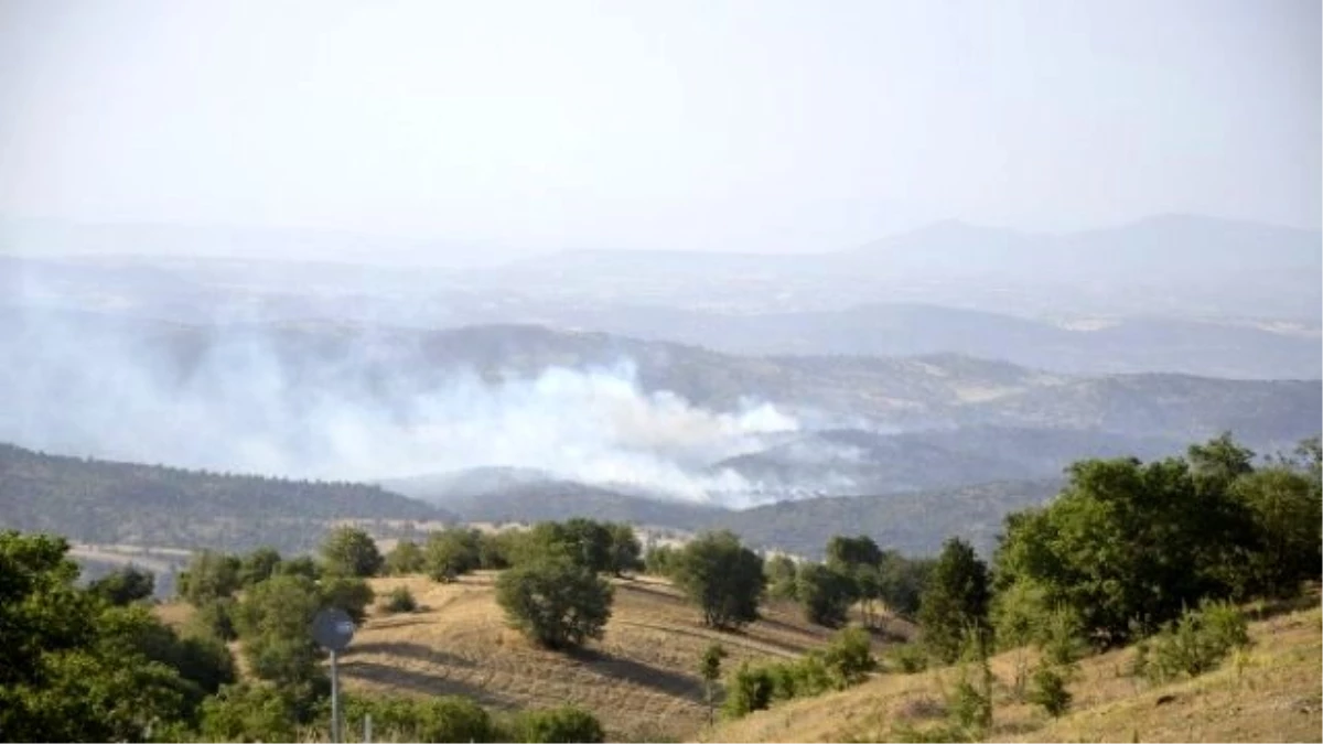 Uşak\'ta Buğday Tarlası ve Makilik Alanda Yangın