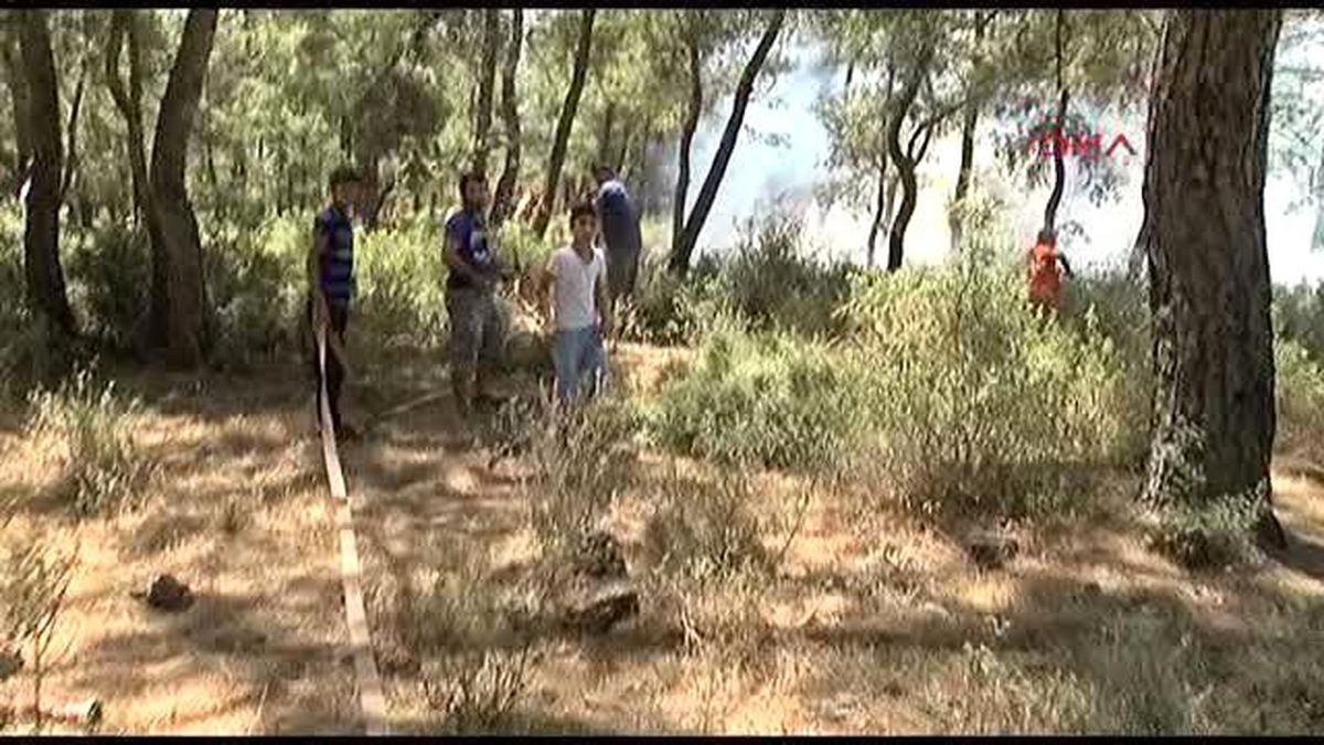 Antalya\'da Ormanlık Alanda Yangın
