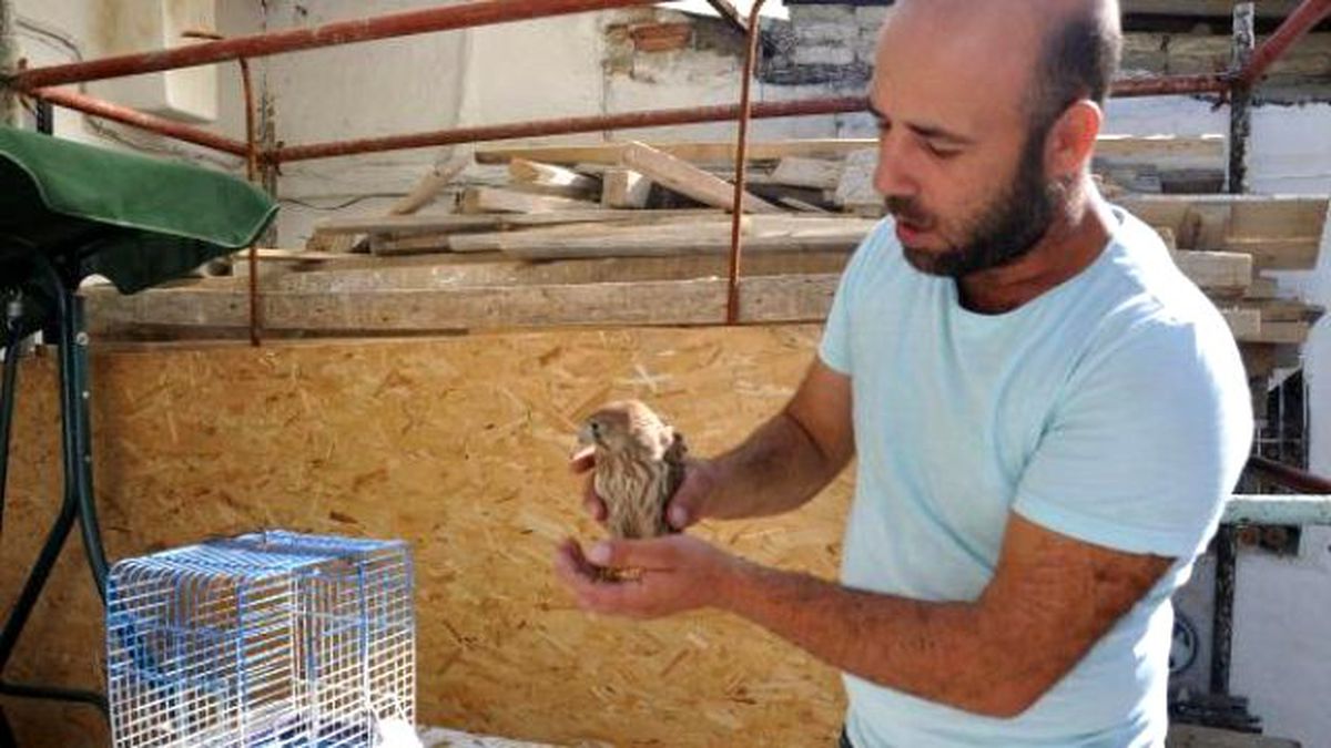 Aşırı Sıcaklardan O da Etkilendi
