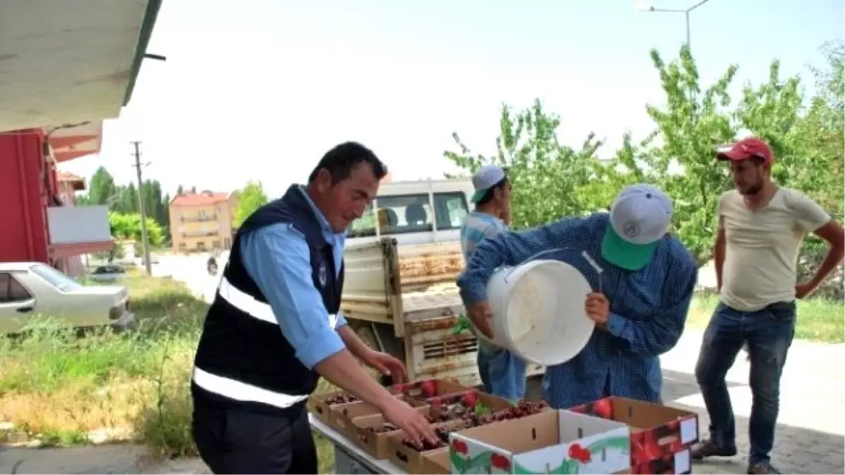 Belediye Personeli Kiraz Mesaisinde