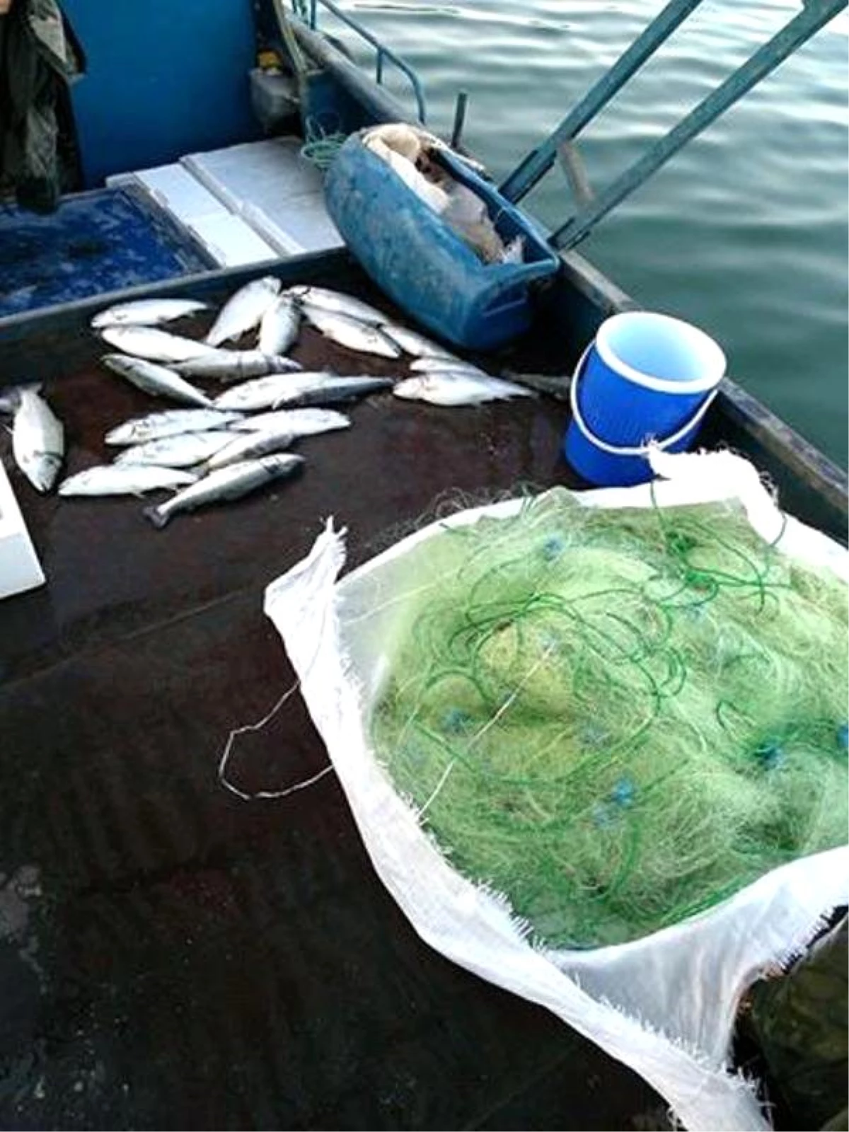 Elazığ\'da Kaçak Balık Avlayan 3 Kişiye 5 Bin Lira Ceza
