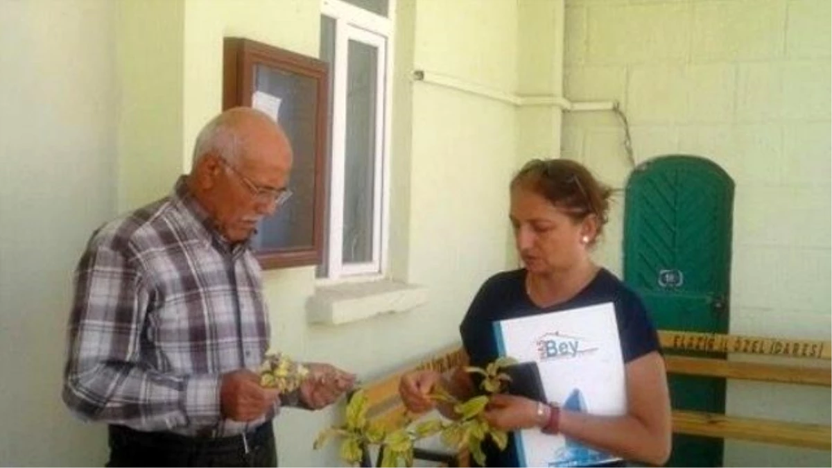 Elazığ\'da Toprak Analizi ve Nitrat Fazlalığı Eğitimi