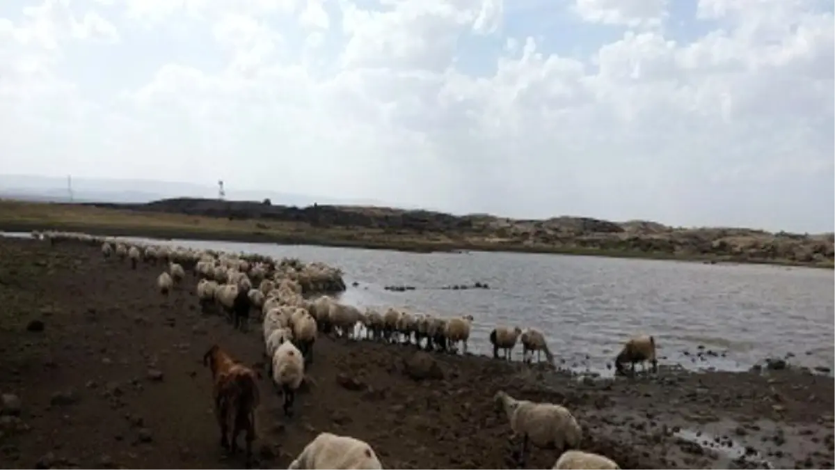 Gölet Yapım ve Onarım Çalışmaları Sürüyor