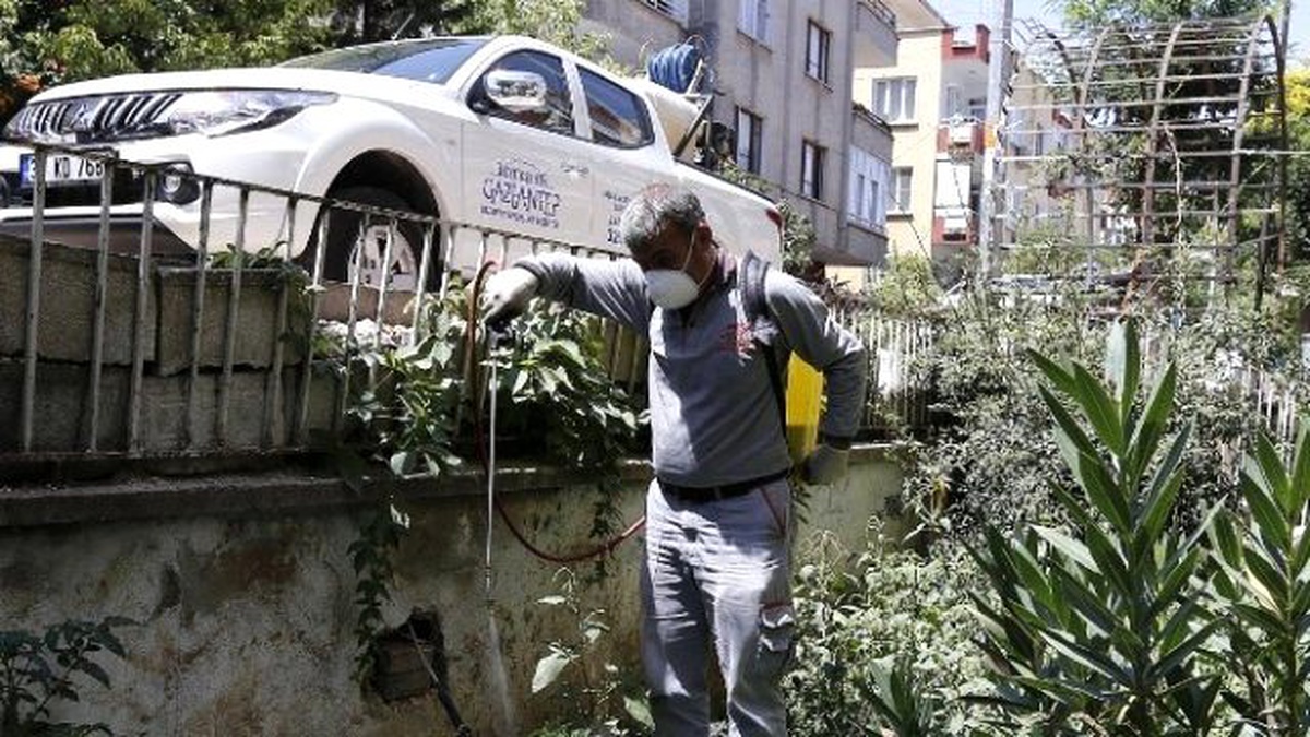 Büyükşehir, 115 Personel ile İlaçlama Çalışmalarını Sürdürüyor