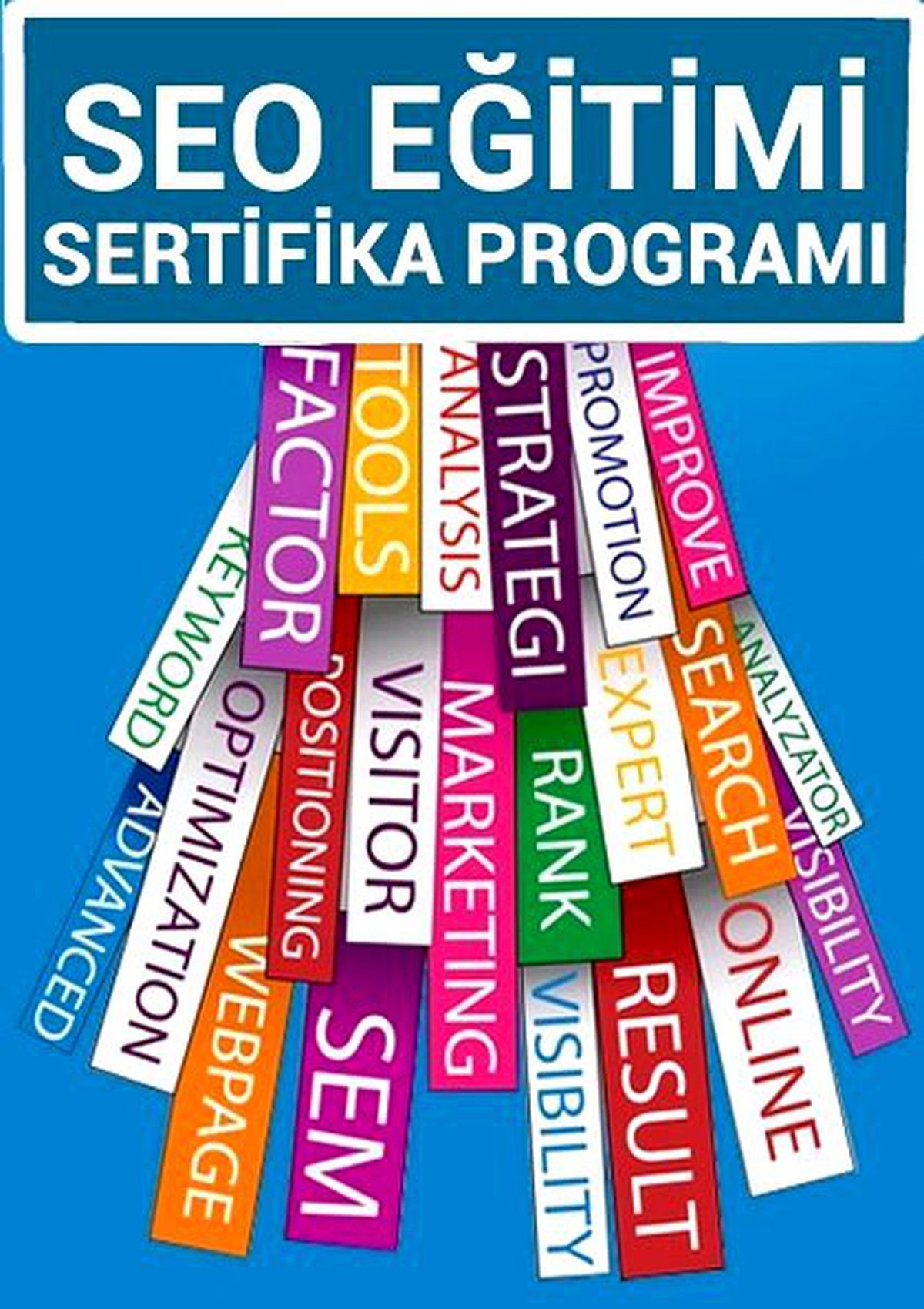 Seo Eğitimi Sertifika Programı