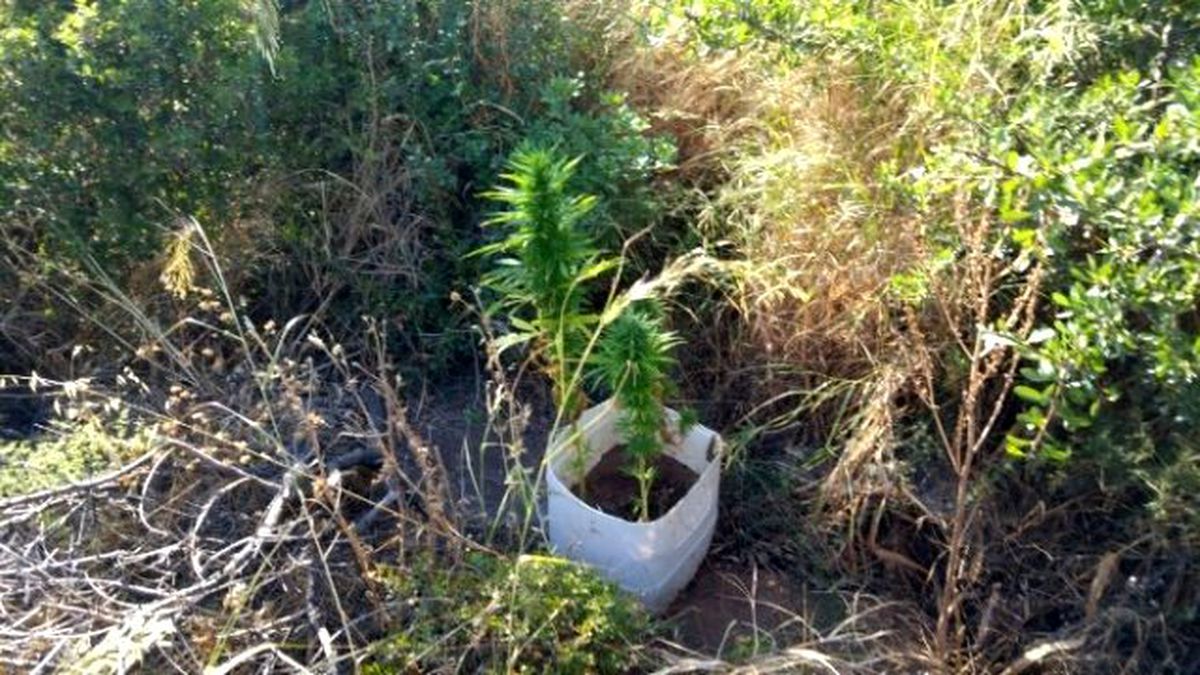 Aliağa\'da Çifte Uyuşturucu Operasyonuyla Zehir Tacirlerine Darbe